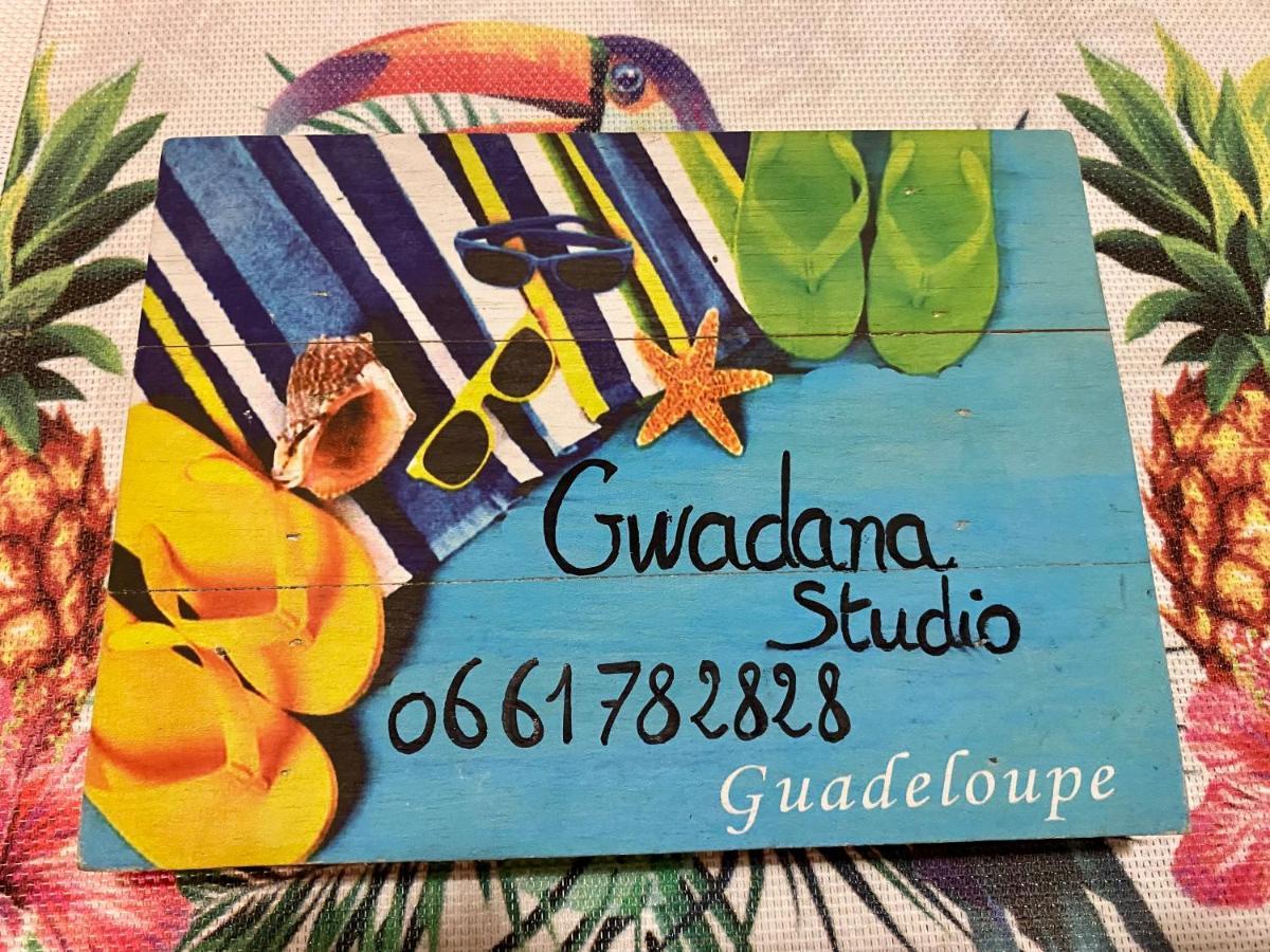 Vue Exclusive Mer Et Volcan, Village Vacances Avec Plage Et Piscine, Les Gwadastudios Sainte-Anne  Esterno foto