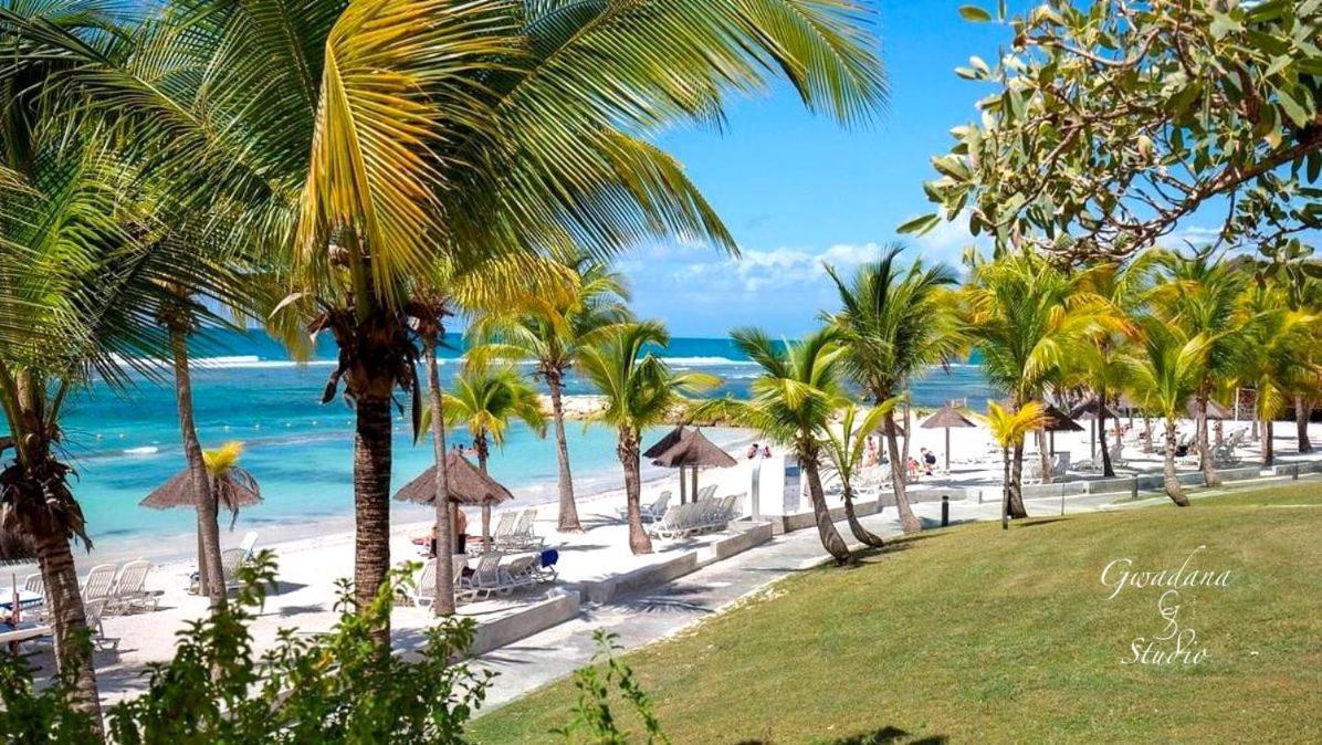 Vue Exclusive Mer Et Volcan, Village Vacances Avec Plage Et Piscine, Les Gwadastudios Sainte-Anne  Esterno foto