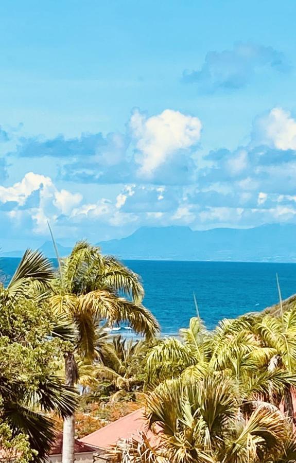 Vue Exclusive Mer Et Volcan, Village Vacances Avec Plage Et Piscine, Les Gwadastudios Sainte-Anne  Esterno foto