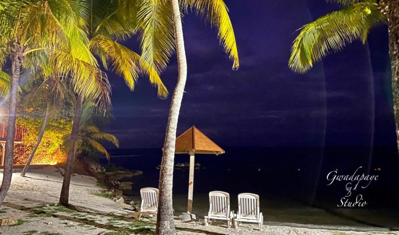 Vue Exclusive Mer Et Volcan, Village Vacances Avec Plage Et Piscine, Les Gwadastudios Sainte-Anne  Esterno foto