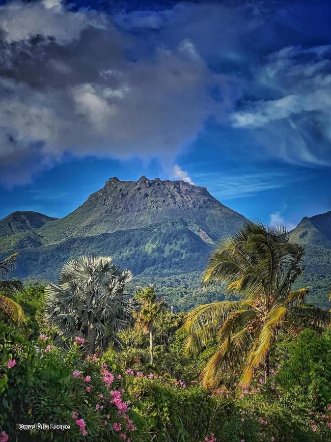 Vue Exclusive Mer Et Volcan, Village Vacances Avec Plage Et Piscine, Les Gwadastudios Sainte-Anne  Esterno foto