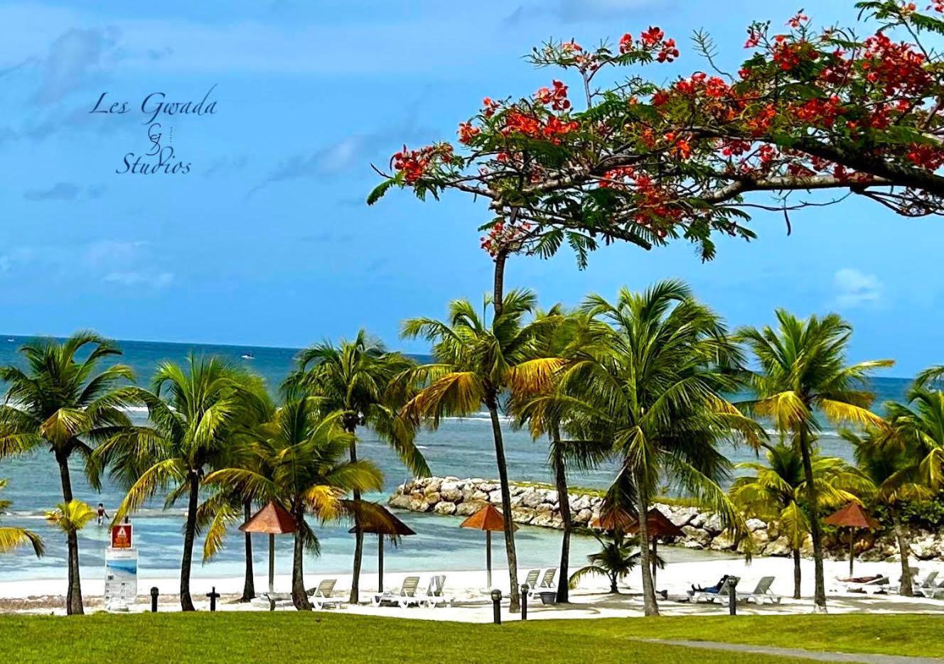 Vue Exclusive Mer Et Volcan, Village Vacances Avec Plage Et Piscine, Les Gwadastudios Sainte-Anne  Esterno foto