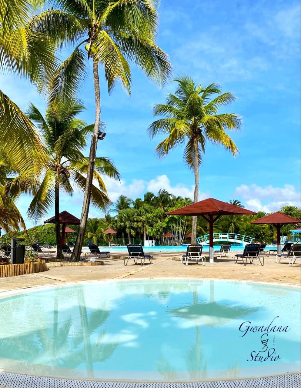 Vue Exclusive Mer Et Volcan, Village Vacances Avec Plage Et Piscine, Les Gwadastudios Sainte-Anne  Esterno foto