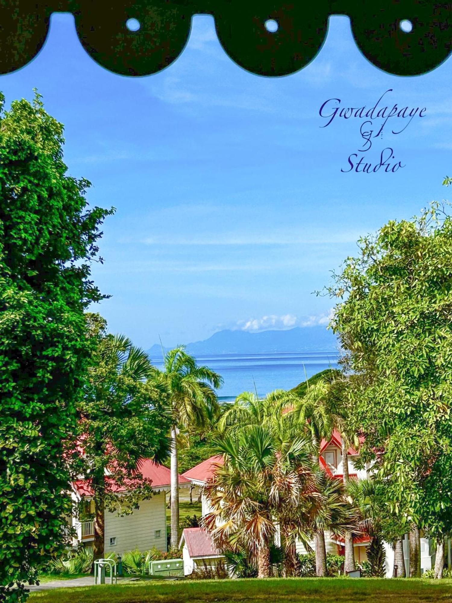 Vue Exclusive Mer Et Volcan, Village Vacances Avec Plage Et Piscine, Les Gwadastudios Sainte-Anne  Esterno foto